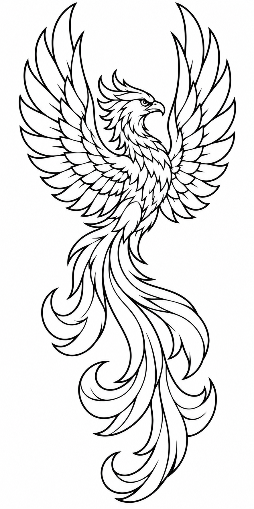 Outline-only stencil study of the phoenix with raised wings and a long flowing tail